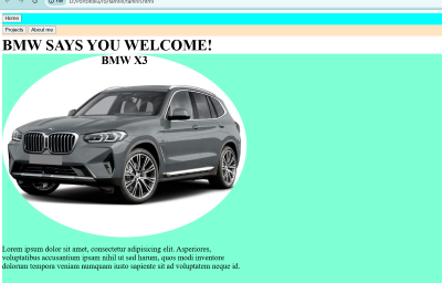 Screenshot of local business project